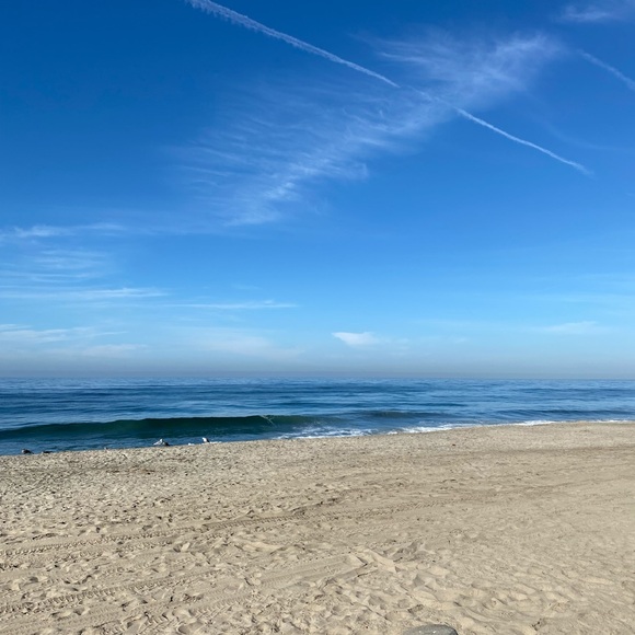 Meet your Posher, Ali - Picture 11 of 12